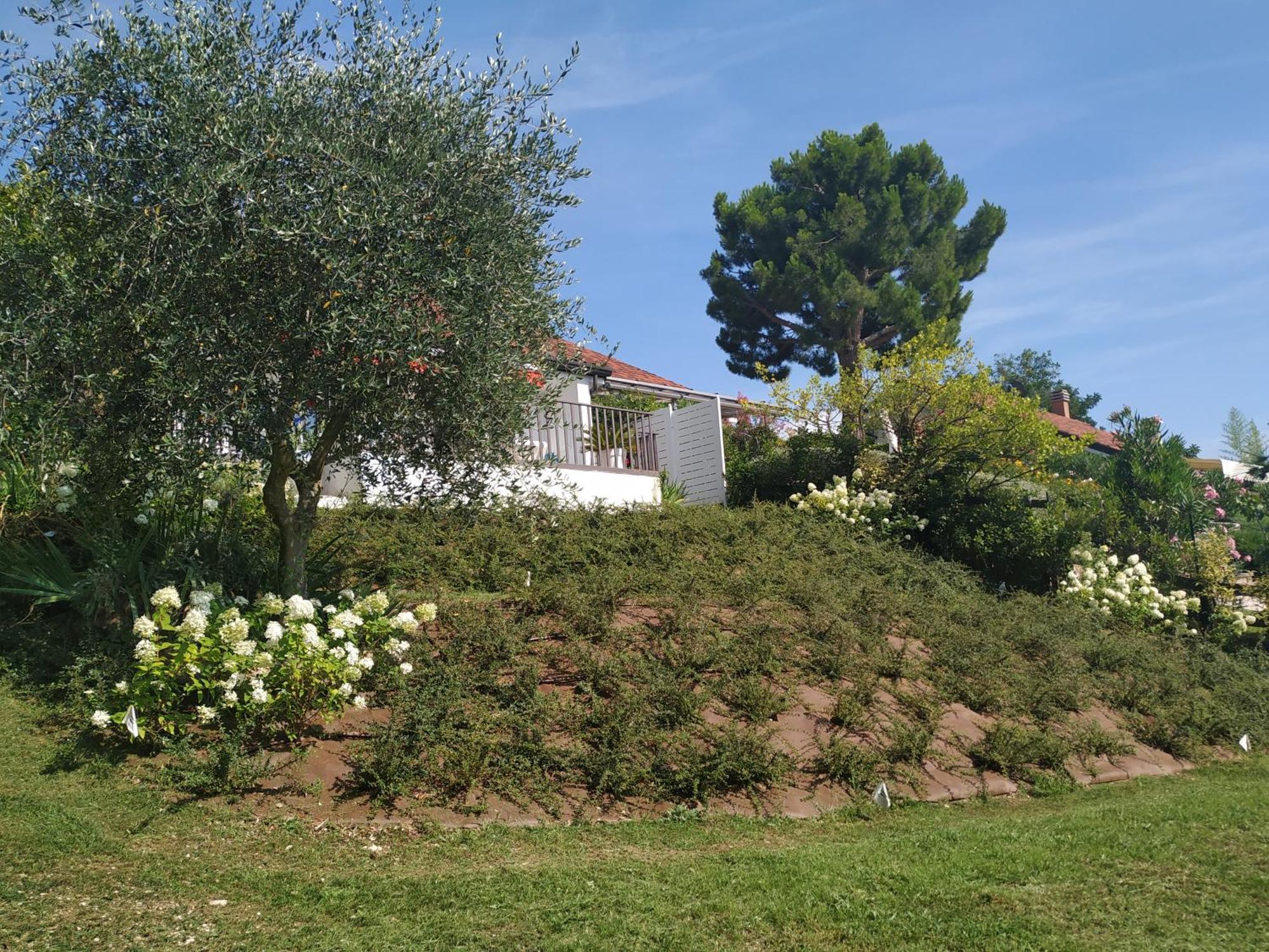 Casa Fellini Villa San Zeno di Montagna Exterior photo